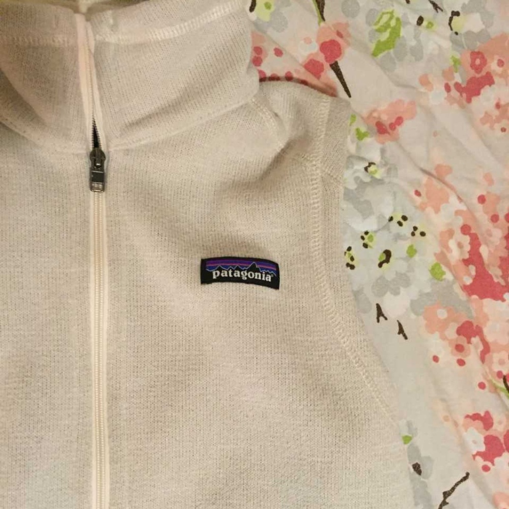 Off-white Patagonia Vest, like new